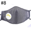 1Pcs  Anti Dust-Anti Virus Mask